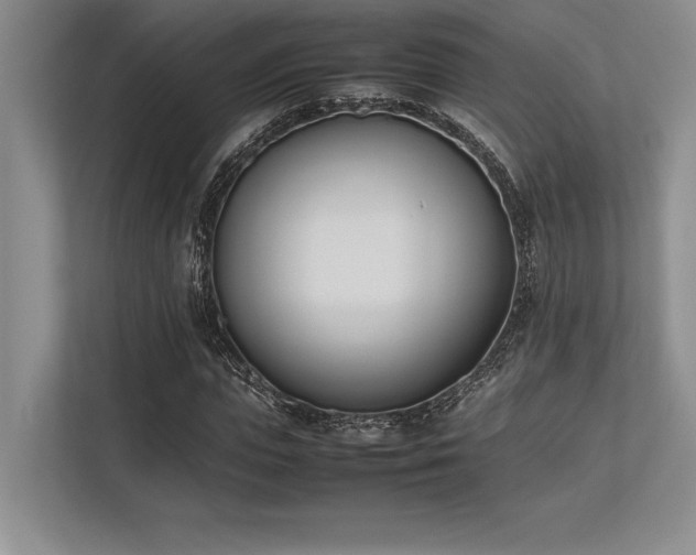X0000113350823200909221142