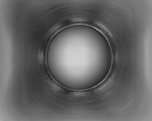 X0000113350825200909221142