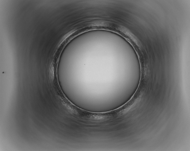 X0000113350829200909221142