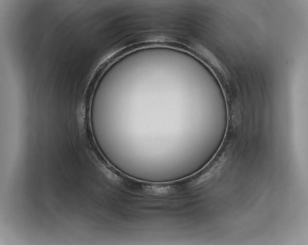 X0000113350831200909221142
