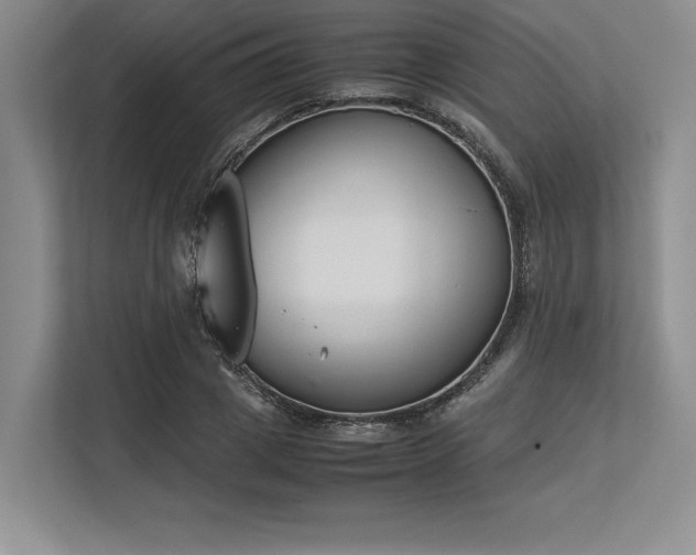 X0000113350833200909221142