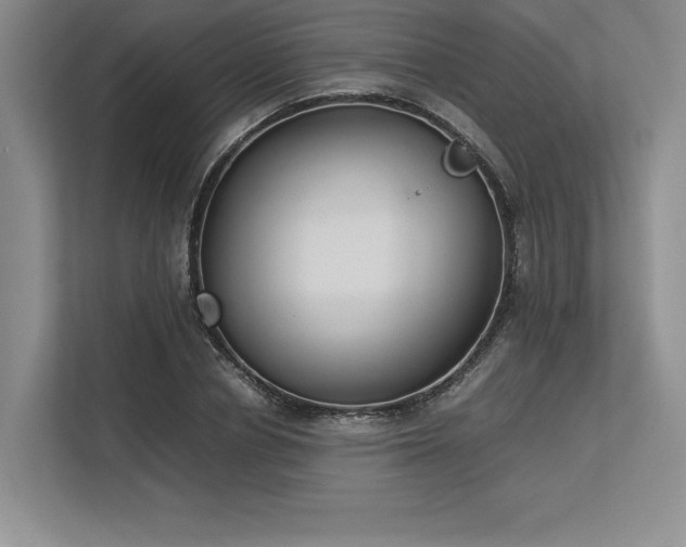 X0000113350834200909221142