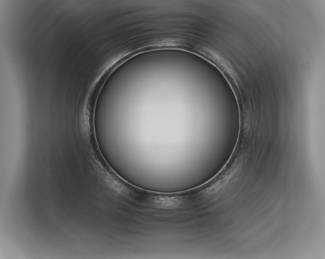 X0000113350835200909221142
