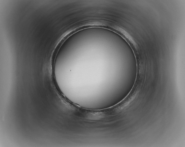 X0000113350837200909221142