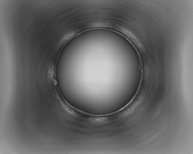 X0000113350841200909221142