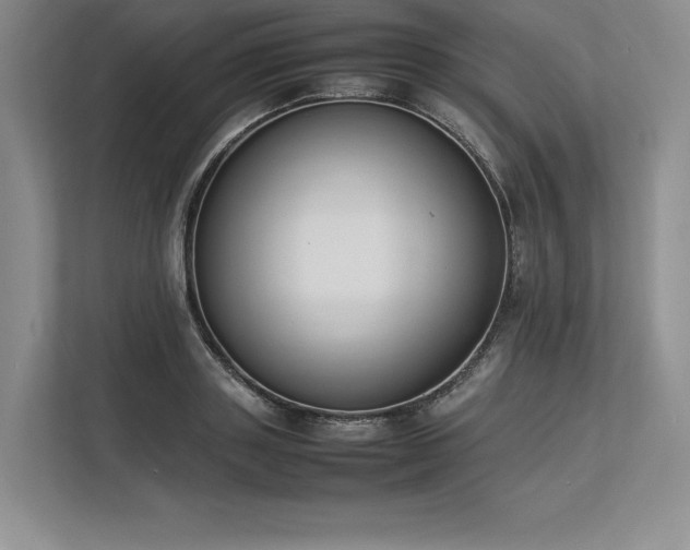 X0000113350843200909221142