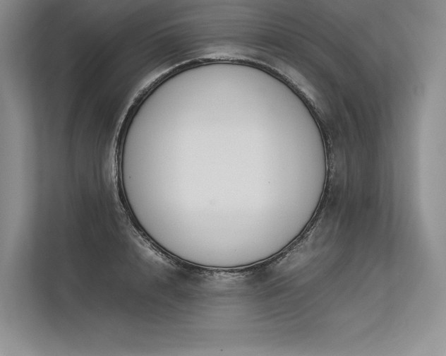 X0000113350848200909221142