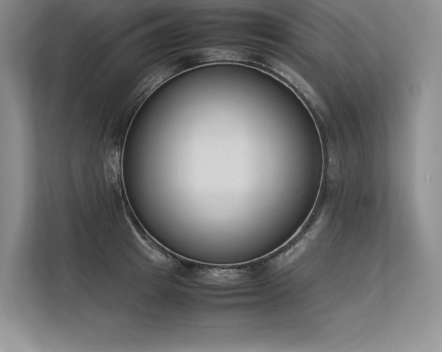 X0000113350849200909221142