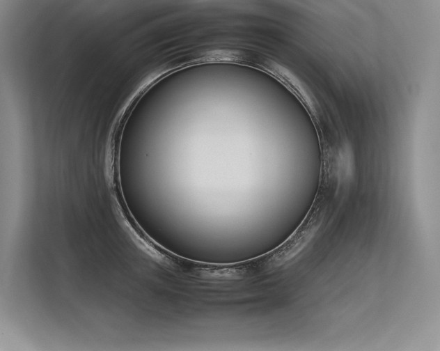 X0000113350851200909221142