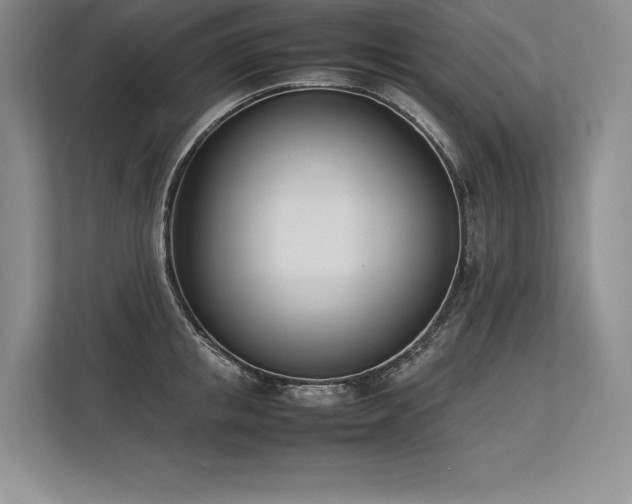 X0000113350853200909221142