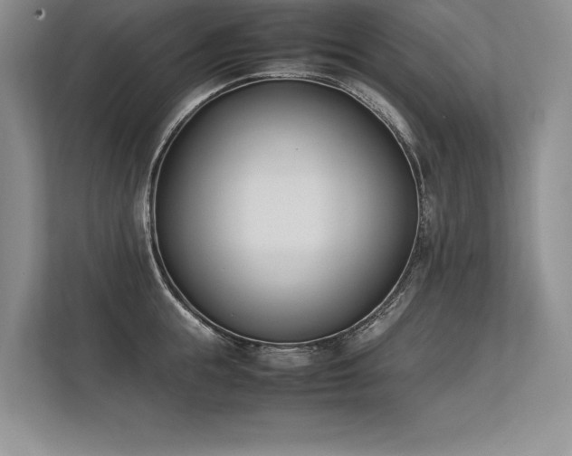 X0000113350855200909221142