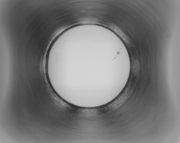 X0000113350856200909221142