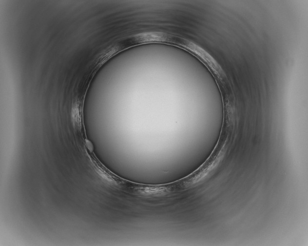 X0000113350857200909221142