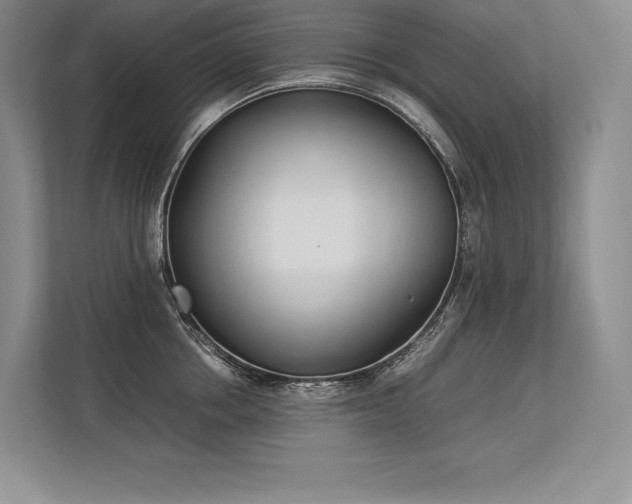 X0000113350858200909221142