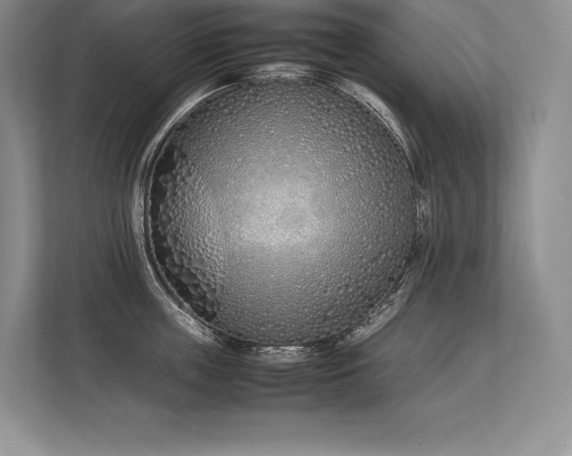X0000113350859200909221142