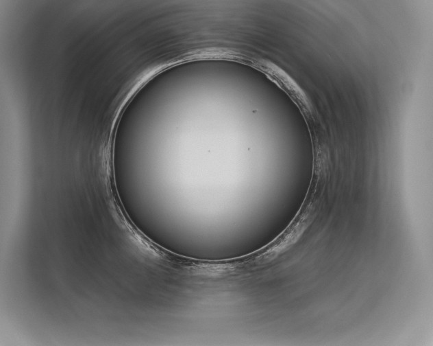 X0000113350860200909221142