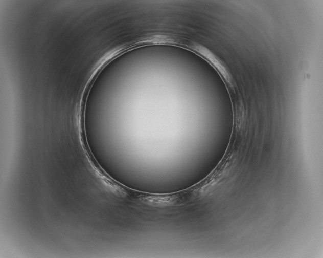 X0000113350861200909221142