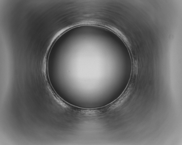 X0000113350862200909221142