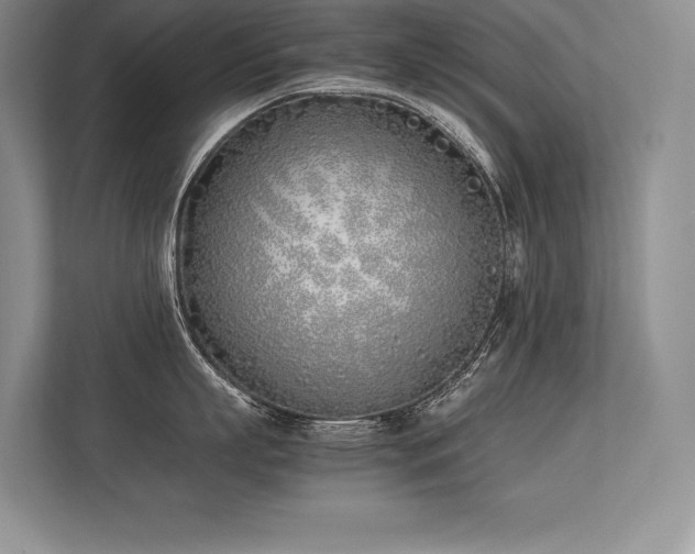 X0000113350863200909221142