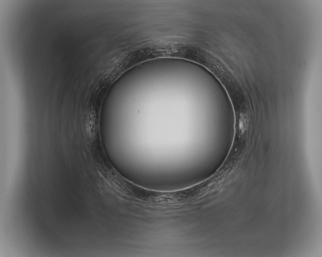 X0000113350867200909221142