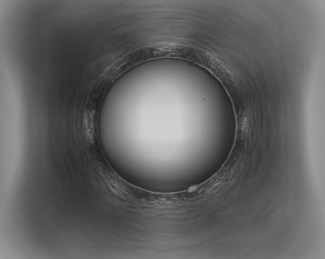 X0000113350868200909221142
