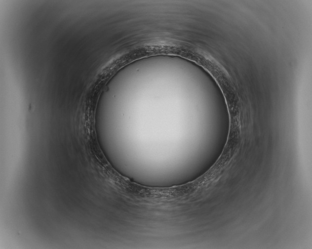 X0000113350870200909221142