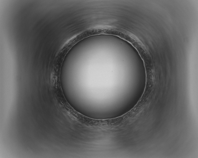 X0000113350872200909221142