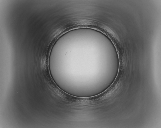 X0000113350873200909221142