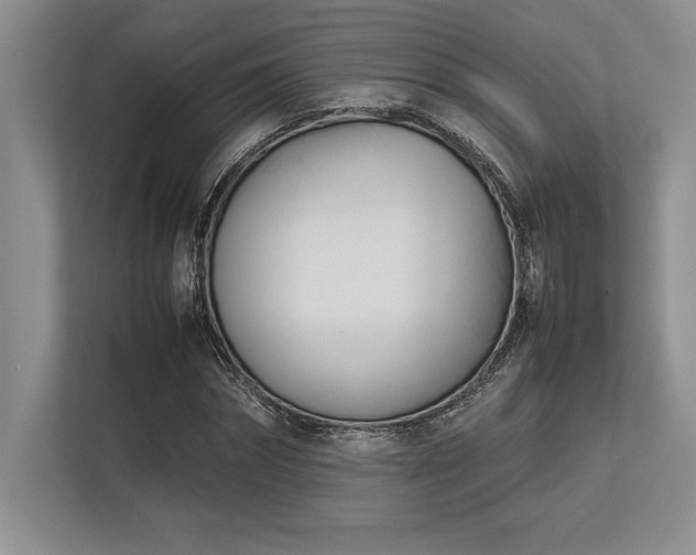 X0000113350874200909221142