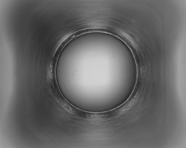 X0000113350875200909221142