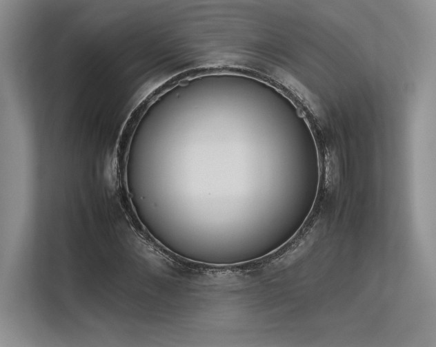 X0000113350876200909221142