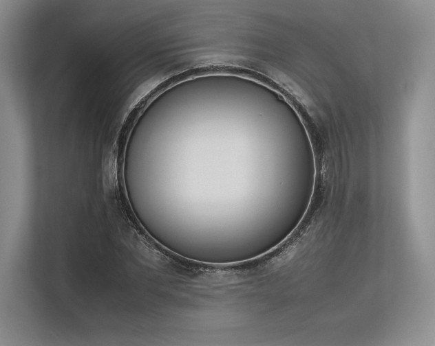 X0000113350877200909221142