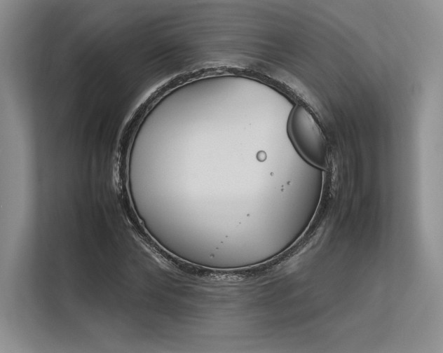 X0000113350878200909221142