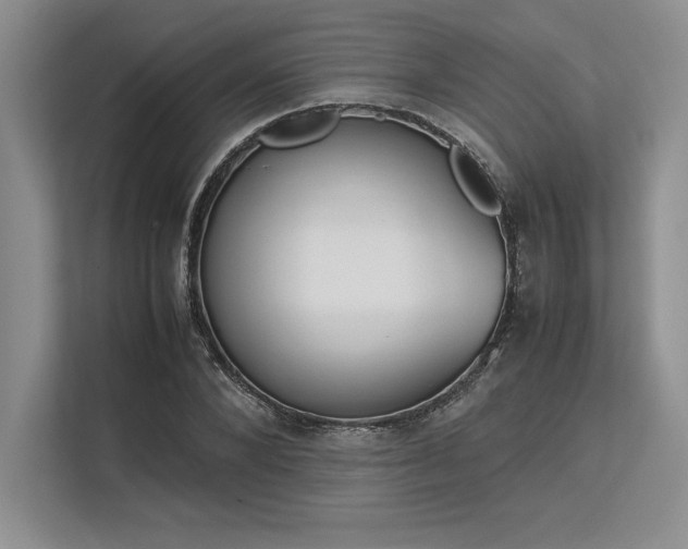 X0000113350880200909221142