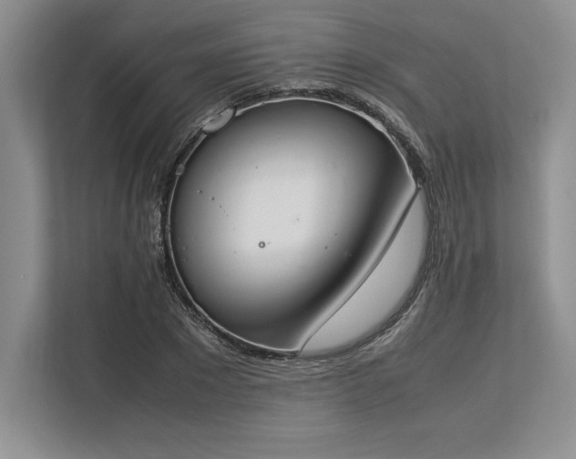 X0000113350881200909221142
