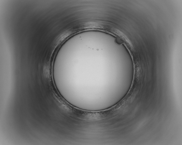 X0000113350882200909221142
