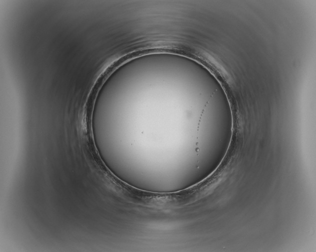 X0000113350883200909221142