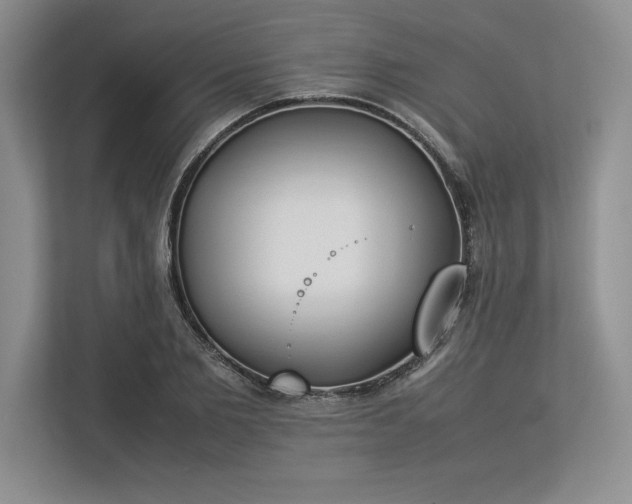 X0000113350885200909221142