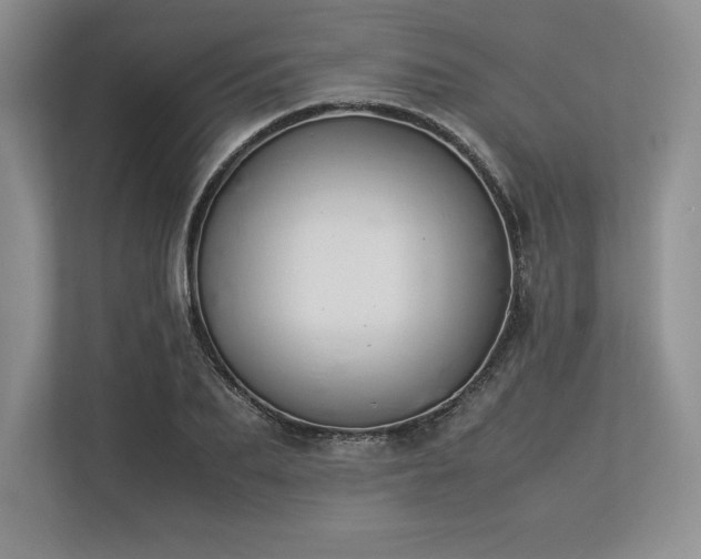 X0000113350887200909221142