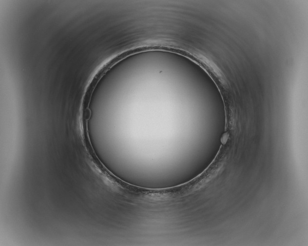 X0000113350888200909221142