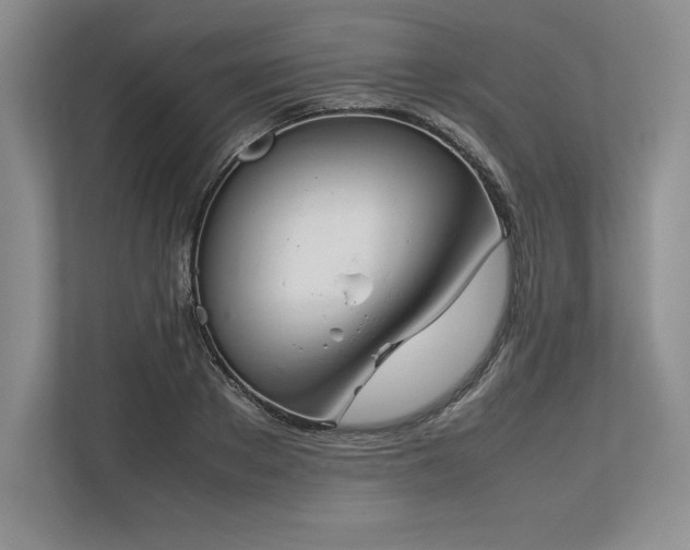 X0000113350889200909221141