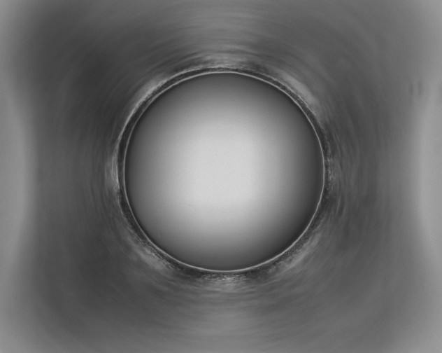 X0000113350891200909221141