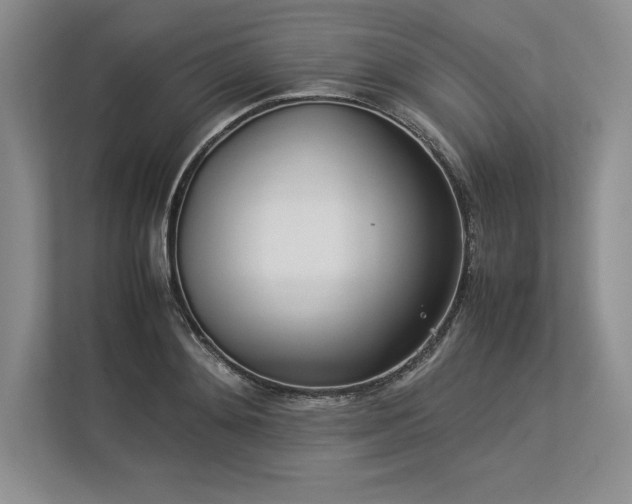X0000113350892200909221141