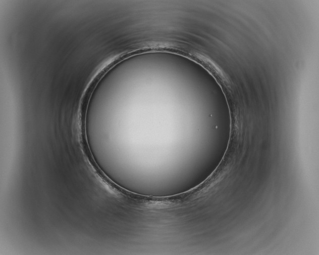 X0000113350894200909221141