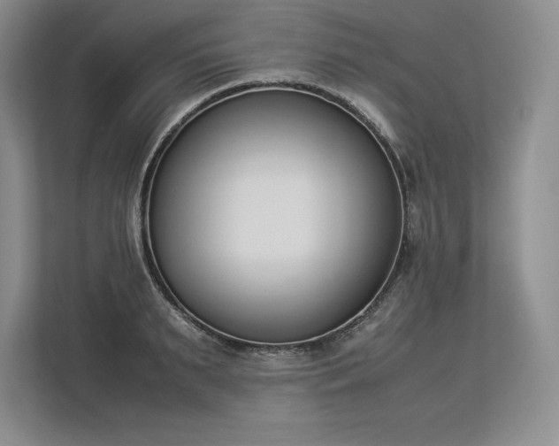 X0000113350895200909221141