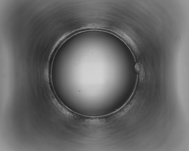 X0000113350896200909221141