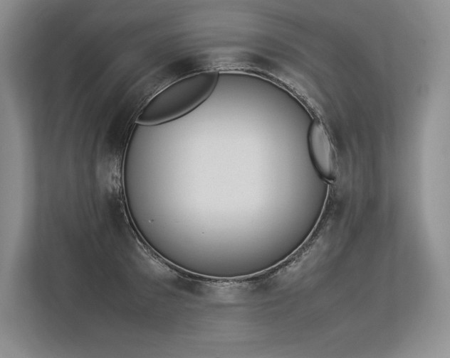X0000113350897200909221141