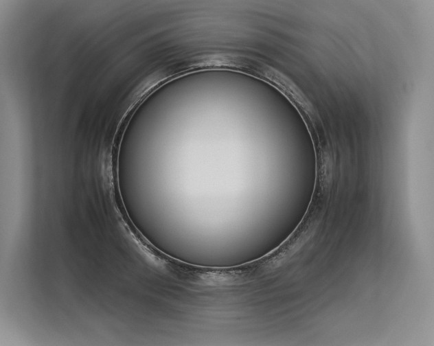 X0000113350898200909221141