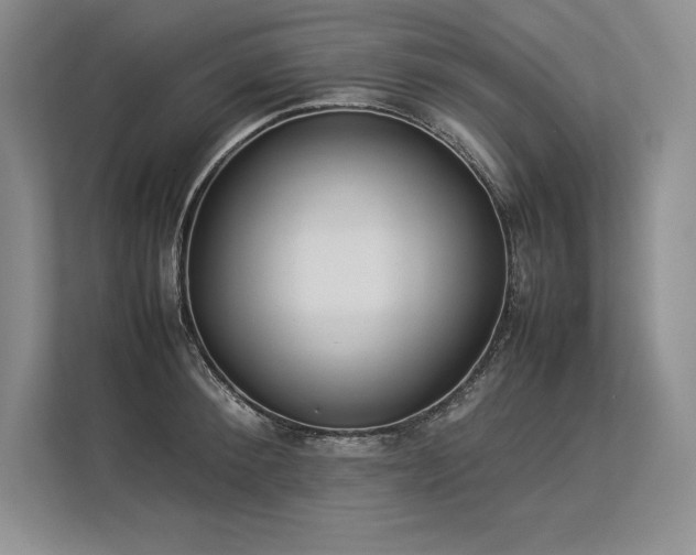 X0000113350900200909221141