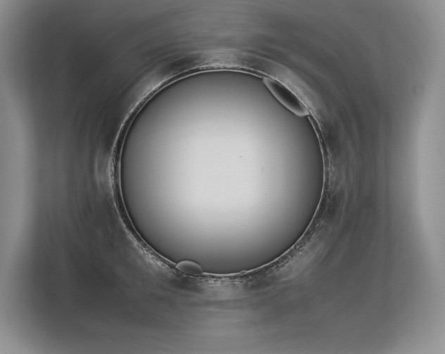 X0000113350901200909221141
